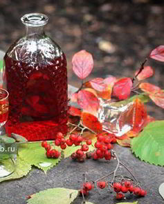 Вишневая настойка