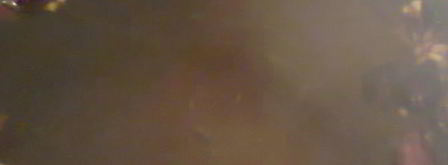 прохладительный напиток из шиповника. Шаг 4