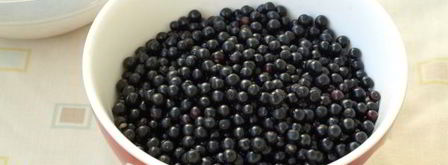 сироп из черной бузины. Шаг 4