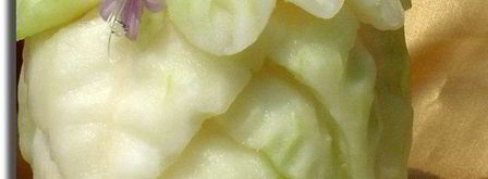 смузи магический цветок. Шаг 3