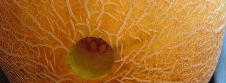 смузи магический цветок. Шаг 14