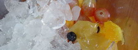 смузи магический цветок. Шаг 7