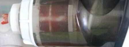 пряный томатно-сельдереевый сок. Шаг 4