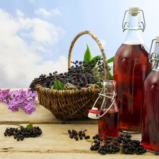 Рецепт сока черной бузины