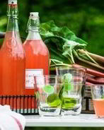 Сок из ревеня