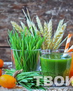 Сок из ростков пшеницы
