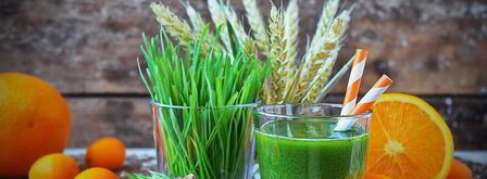 сок из ростков пшеницы. Шаг 8