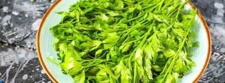 сок петрушки. Шаг 5