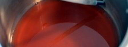 сок вишневый. Шаг 5