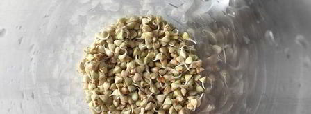 томатный сок с зеленой гречкой, сельдереем и сметаной. Шаг 11