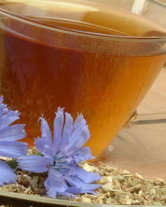 Свойства и состав напитка из цикория