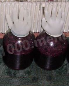 Вино из винограда северных сортов