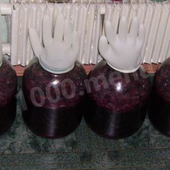 Рецепт вина из винограда северных сортов