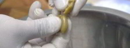 греческий салат без перца. Шаг 5