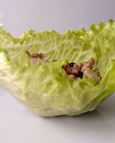 Салат из гречи, кролика и брусники