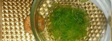 салат с картофелем, скумбрией и крекерами из отрубей. Шаг 7