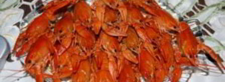 классический французский салат оливье. Шаг 21