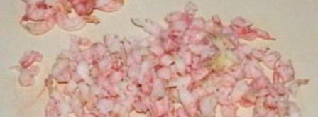 оливье с креветками и авокадо. Шаг 3