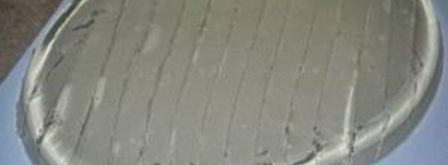 салат для праздничного стола. Шаг 7