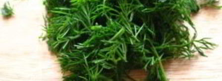 салат из яблок и огурцов. Шаг 5