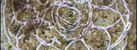 салат мимоза с тунцом. Шаг 11