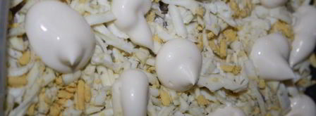 сельдь под шубой. Шаг 6