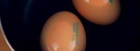 салат цезарь с соусом. Шаг 3