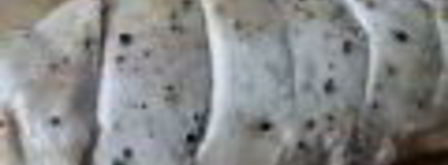 салат цезарь в минималистическом стиле. Шаг 4