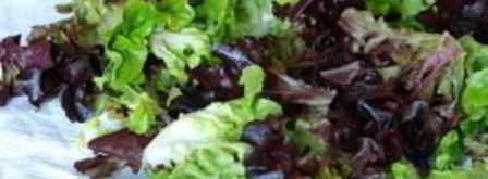 весенний салат с французской заправкой. Шаг 4