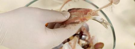 винегрет с килькой. Шаг 7