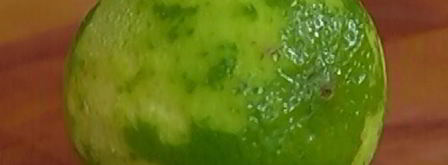 восточный салат с курицей. Шаг 6