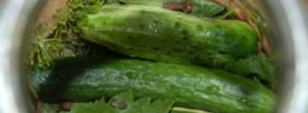 маринад для огурцов. Шаг 5