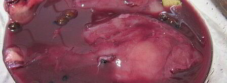 пастрома из куриной грудки в винном маринаде. Шаг 4