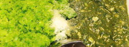 чесночно-базиликовый песто. Шаг 7