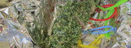 филе индейки с соусом песто из укропа. Шаг 11