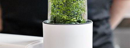 тренетте с соусом песто. Шаг 5