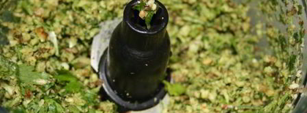 сациви с куриными грудками. Шаг 3