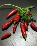 Соус табаско