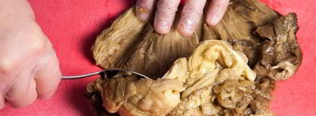 тартар из баклажанов. Шаг 3