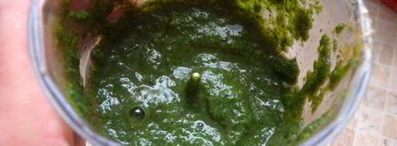 соус сливовый ткемали. Шаг 6