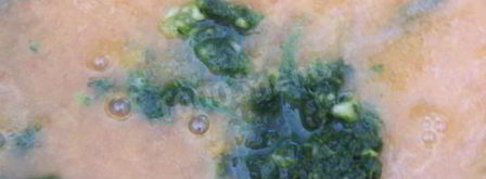 соус ткемали из слив. Шаг 12