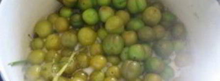 соус ткемали из зеленых слив. Шаг 3