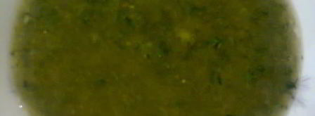 соус зеленый ткемали. Шаг 12