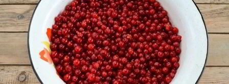 ткемали из красной смородины. Шаг 5