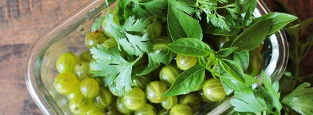 ткемали из крыжовника. Шаг 3