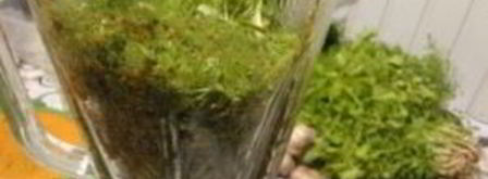 ткемали из слив на зиму. Шаг 11