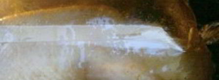 утка в соусе ткемали с медом. Шаг 13