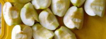 утка в соусе ткемали с медом. Шаг 8