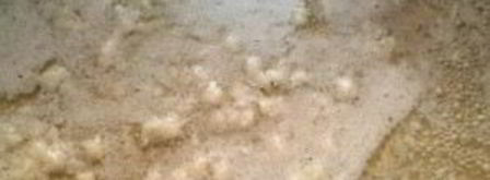 сырный соус из плавленого сыра. Шаг 3