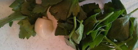 борщ любимый. Шаг 13